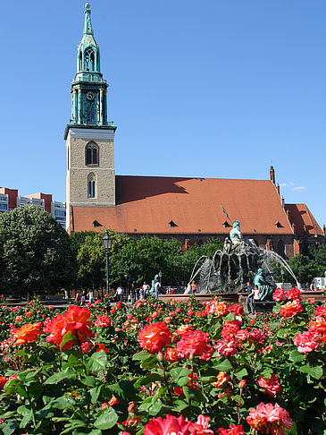 Marienkirche Fotos