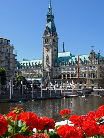 Rathaus mit Alsterfleet Fotos