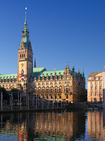 Foto Rathaus - Hamburg