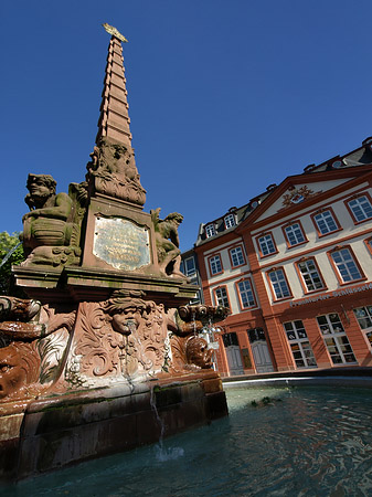 Haus zum Grimmvogel mit Liebfrauenbrunnen Fotos