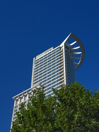 Foto Westendtower mit Baum - Frankfurt am Main