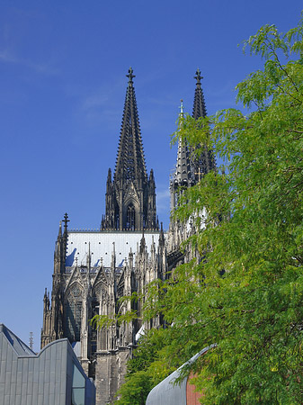 Foto Türme des Kölner Doms