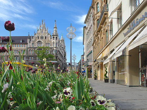 Neues Rathaus Foto 