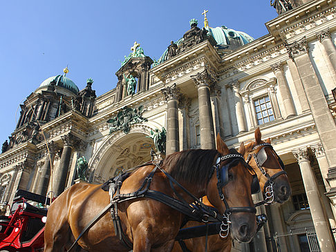 Pferdekutsche vor dem Berliner Dom Foto 