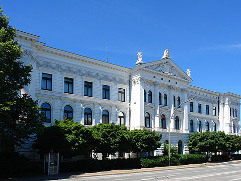 Rathaus von Altona Fotos