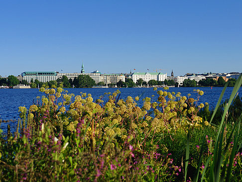 Blick nach Osten von der Außenalster Foto 