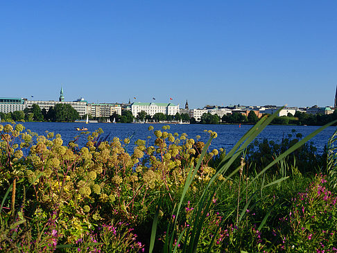 Fotos Blick nach Osten von der Außenalster