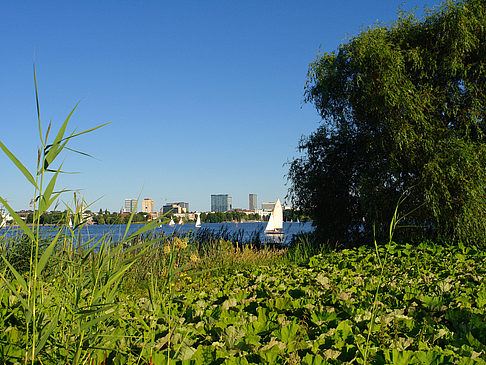 Fotos Blick nach Osten von der Außenalster | Hamburg