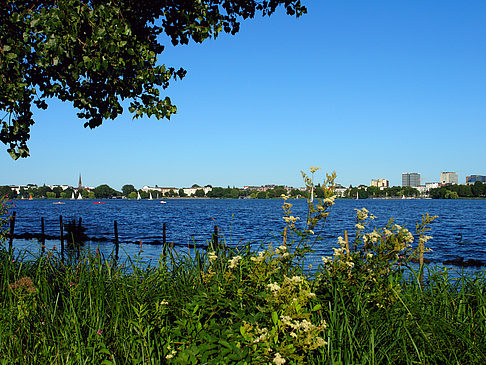 Blick nach Osten von der Außenalster Foto 