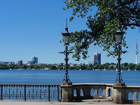 Bäume und Laterne an der Binnenalster Fotos