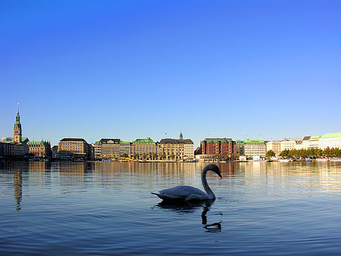 Foto Binnenalster - Hamburg