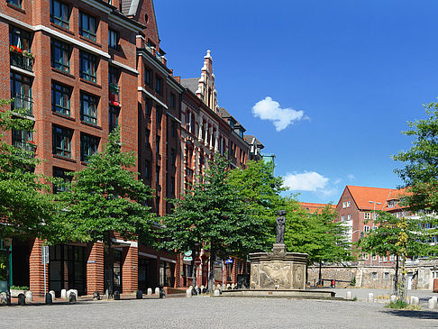 Fotos Fischmarkt | Hamburg