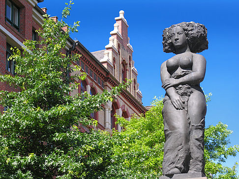 Foto Fischmarktbrunnen Minerva