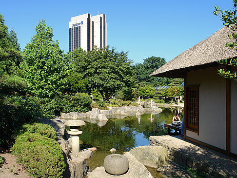 Planten un Blomen - Japanischer Garten Foto 