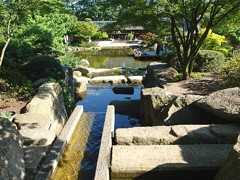 Fotos Planten un Blomen - Japanischer Garten