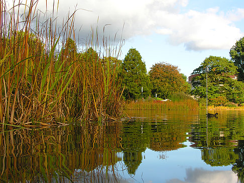 Foto Planten un Blomen - Hamburg