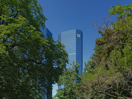 Fotos Deutsche Bank mit Bäumen | Frankfurt am Main