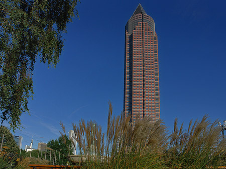 Fotos Messeturm mit Wiese | Frankfurt am Main