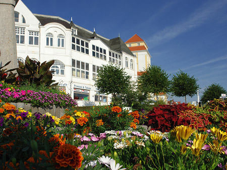 Seebrücke Binz Fotos