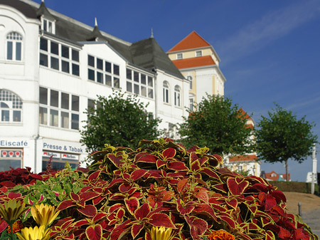 Seebrücke Binz