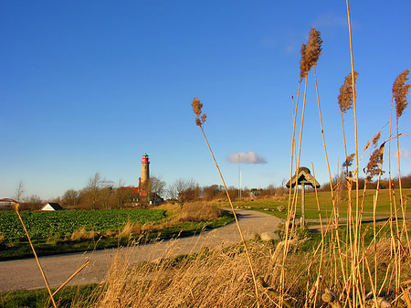 Turm aus der Ferne Fotos