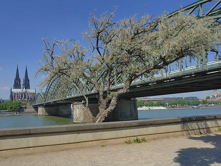 Fotos Hohenzollernbrücke am Kölner Dom | Köln