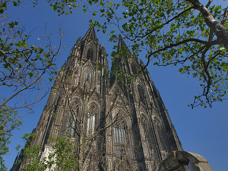 Foto Westfassade des Kölner Doms