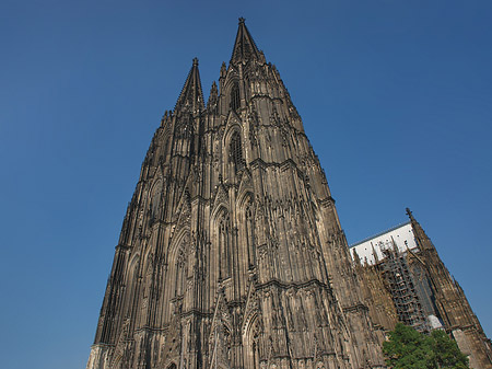 Westfassade des Kölner Doms Foto 