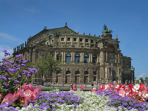 Foto Semperoper mit Blumen - Dresden