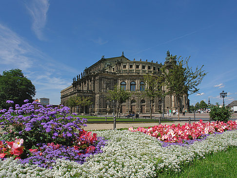 Fotos Semperoper mit Blumen | Dresden