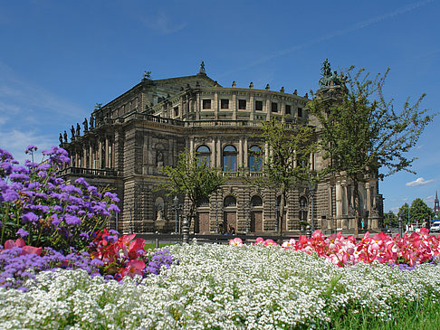 Foto Semperoper mit Blumen - Dresden