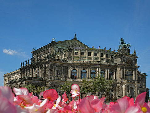 Semperoper mit Blumen Fotos