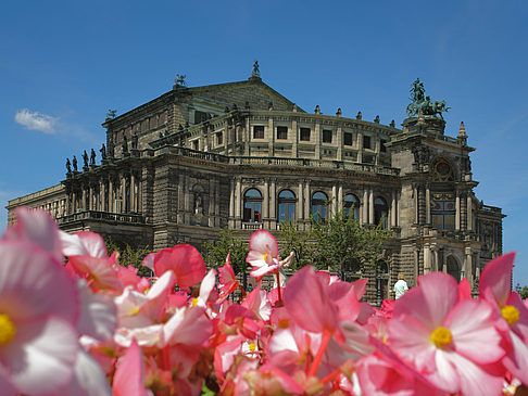 Foto Semperoper mit Blumen - Dresden