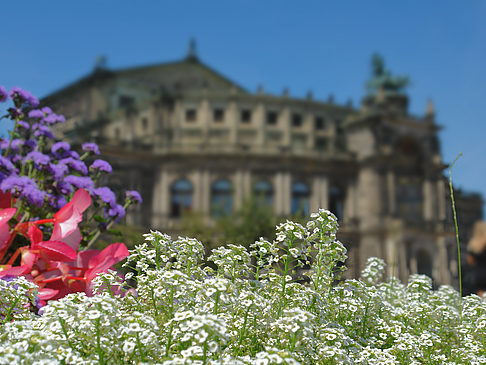 Semperoper mit Blumen